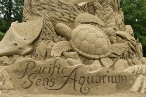 The Baja Beach sand sculpture at the Zoo.