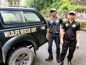 Indonesian wildlife rescue.