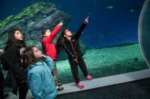 kids pointing in aquarium