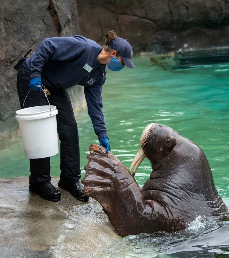 National Zookeeper Week - Point Defiance Zoo & Aquarium