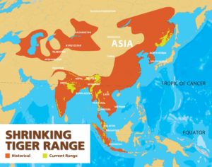  mapa rozsahu tygrů